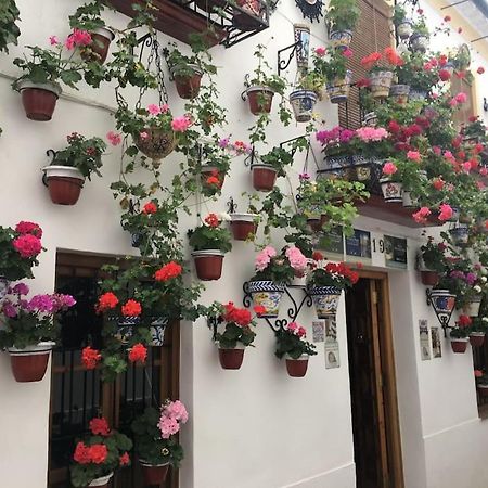 Apartamento El Rincon De La Verdad Córdoba Eksteriør bilde