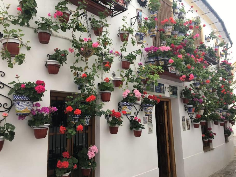 Apartamento El Rincon De La Verdad Córdoba Eksteriør bilde