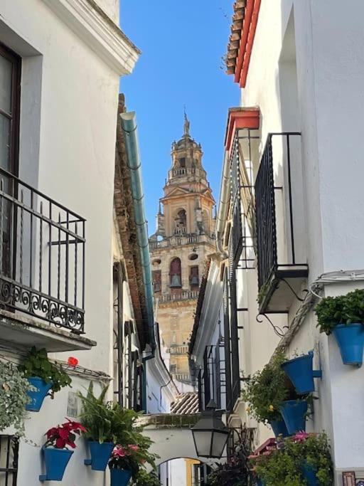 Apartamento El Rincon De La Verdad Córdoba Eksteriør bilde